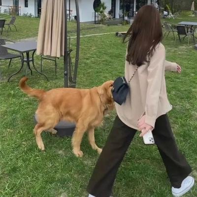 妄想学生会2 剧场版