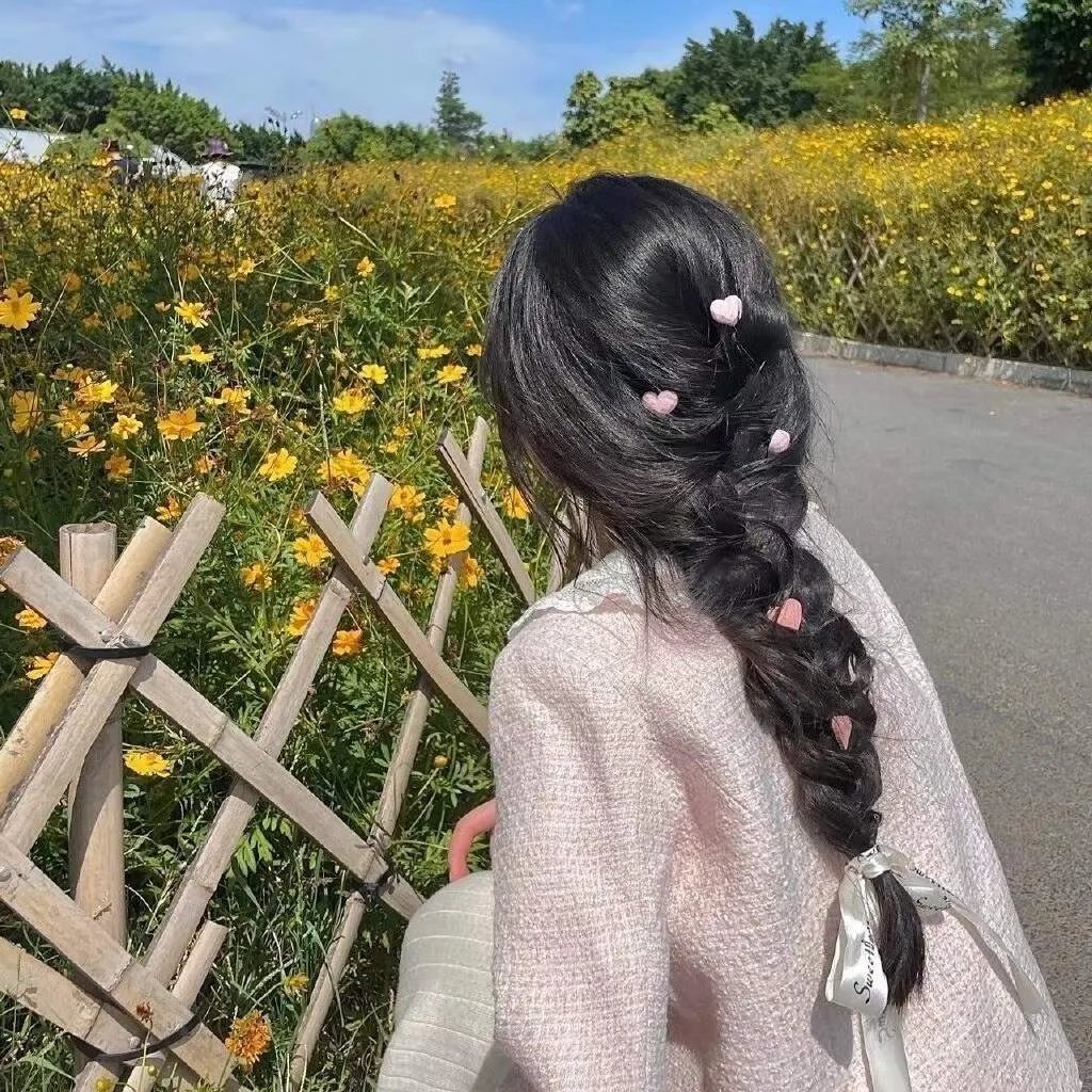 苍鹭与少年